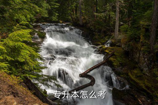  專(zhuān)升本怎么考
