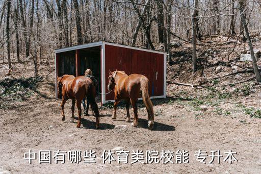 中國有哪些 體育類院校能 專升本