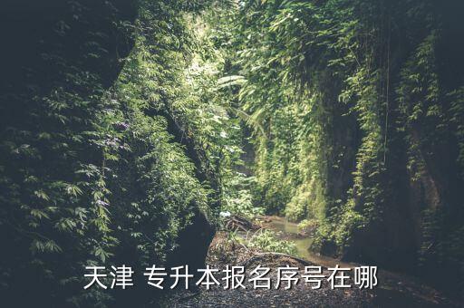 天津 專升本報名序號在哪