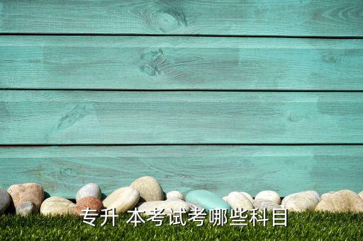  專升 本考試考哪些科目