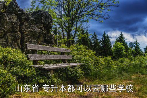 山東省城鄉(xiāng)規(guī)劃專(zhuān)升本,山東省專(zhuān)升本學(xué)校包括山東現(xiàn)代學(xué)院等