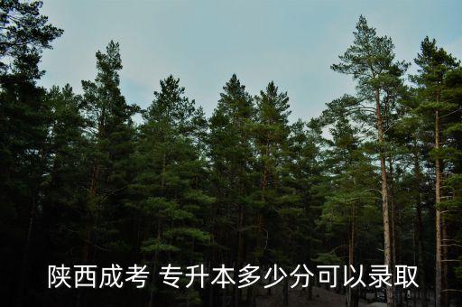陜西專升本剛過(guò)線,陜西成人高考專升錄取分?jǐn)?shù)線出爐