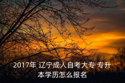 2017年 遼寧成人自考大專 專升本學(xué)歷怎么報(bào)名
