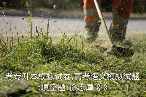 成人考專升本模擬試卷,高考語文模擬試題:填空題:徐志摩《》
