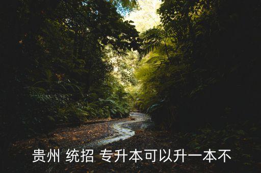 貴州統(tǒng)招專(zhuān)升本,國(guó)家規(guī)定可接收普通專(zhuān)升本學(xué)生的高等學(xué)校