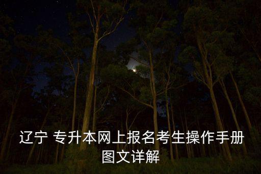 2017遼寧專(zhuān)升本查詢(xún),遼寧高職高考試題解析