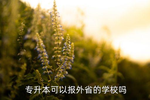 專升本不?？伎梢詤⒓邮】紗?本地高校沒有專升本計劃解釋如下