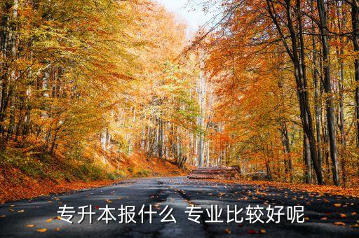  專(zhuān)升本報(bào)什么 專(zhuān)業(yè)比較好呢