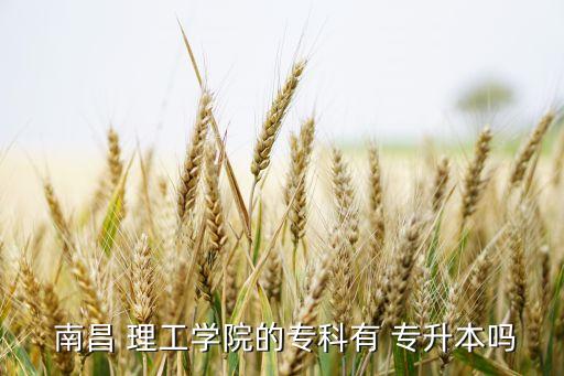  南昌 理工學(xué)院的?？朴?專升本嗎