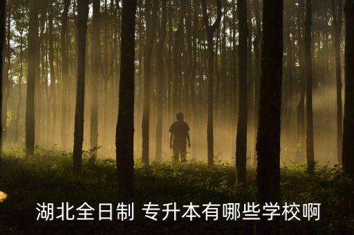  湖北全日制 專升本有哪些學(xué)校啊