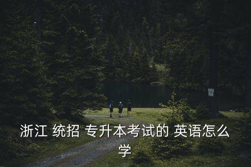 浙江 統(tǒng)招 專升本考試的 英語怎么學