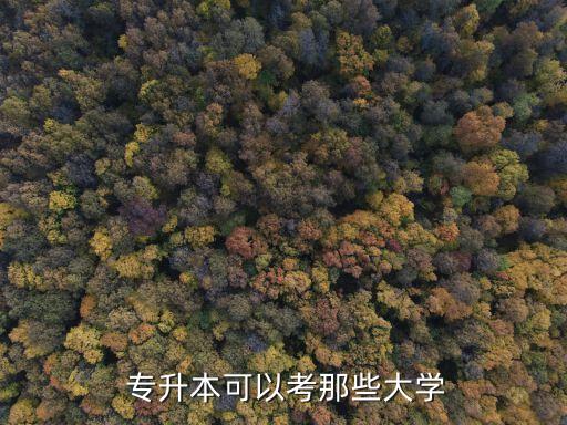 同濟(jì)大學(xué)專(zhuān)升本自考,重慶高校專(zhuān)升本考試考三門(mén)課程