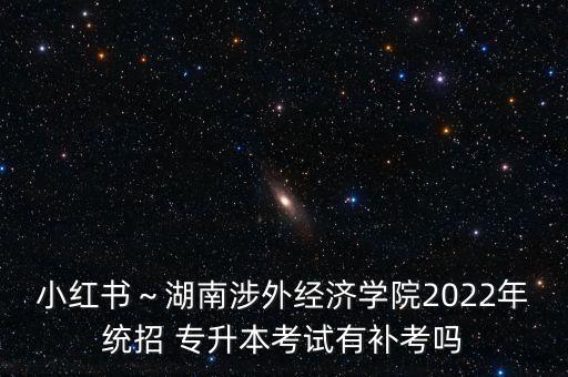 小紅書～湖南涉外經(jīng)濟學院2022年統(tǒng)招 專升本考試有補考嗎