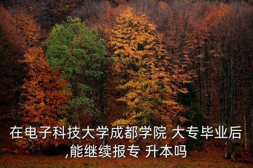 電科大專升本,3.在線教育升本、成人高考升本，電話