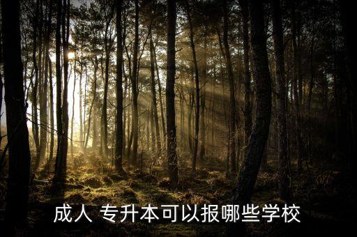 成人 專升本可以報哪些學校
