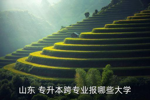 山東 專(zhuān)升本跨專(zhuān)業(yè)報(bào)哪些大學(xué)