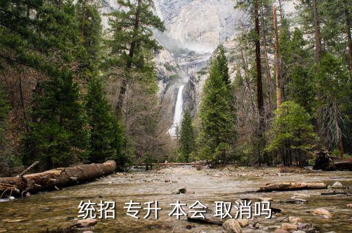 統(tǒng)招 專升 本會(huì) 取消嗎