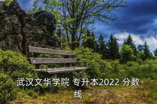 武漢文華學(xué)院 專升本2022 分?jǐn)?shù)線