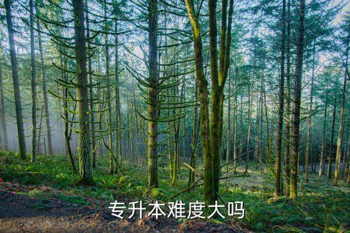 開放大學(xué)專升本難嗎,專升本考試難度不大但大部分考生基礎(chǔ)薄弱