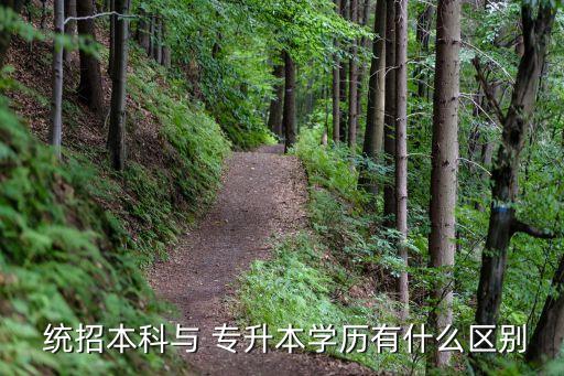  統(tǒng)招本科與 專升本學歷有什么區(qū)別
