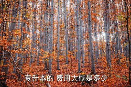  專升本的 費(fèi)用大概是多少