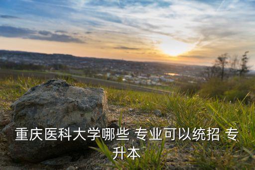 重慶醫(yī)科大學哪些 專業(yè)可以統(tǒng)招 專升本