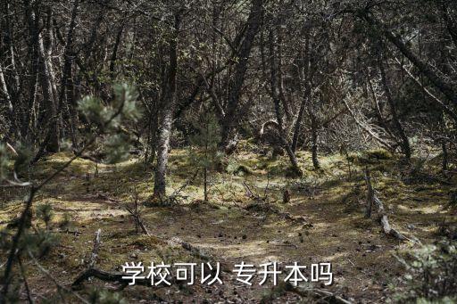 學(xué)校可以 專升本嗎