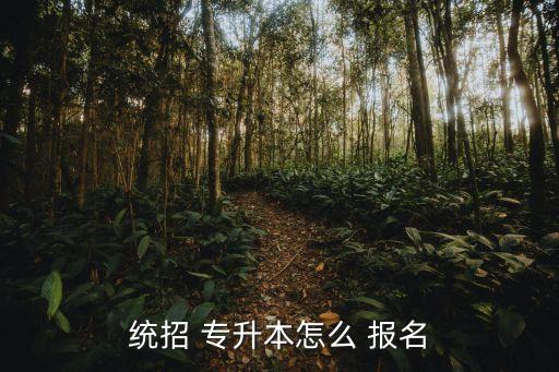 統(tǒng)招 專升本怎么 報名