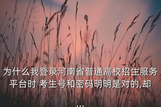 為什么我登錄河南省普通高校招生服務(wù)平臺時 考生號和密碼明明是對的,卻...