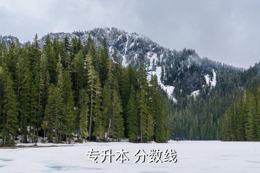  專升本 分?jǐn)?shù)線