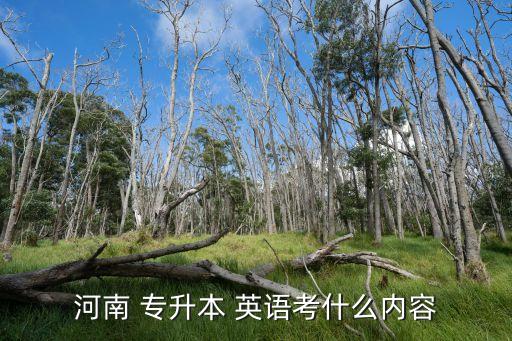 河南 專(zhuān)升本 英語(yǔ)考什么內(nèi)容