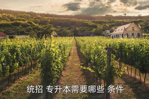  統(tǒng)招 專升本需要哪些 條件