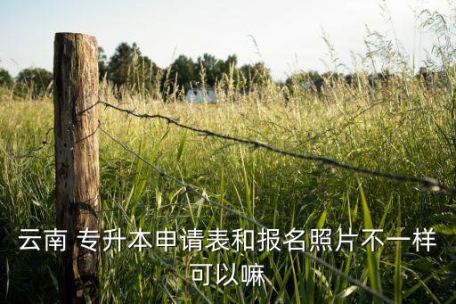 打印專升本報名表 照片,云南專升本報名網(wǎng)上進行電子照片投影