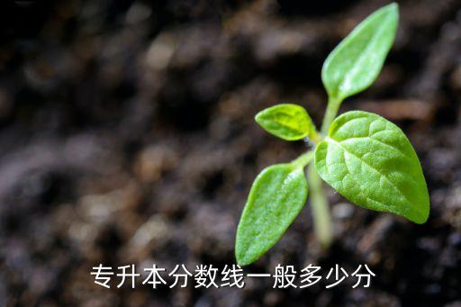  專升本分數(shù)線一般多少分