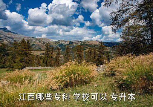  江西哪些?？?學(xué)?？梢?專升本