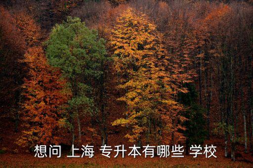 想問 上海 專升本有哪些 學校
