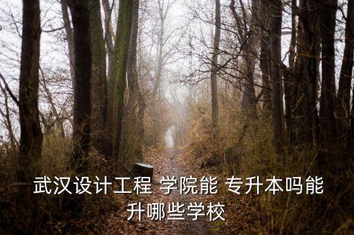  武漢設計工程 學院能 專升本嗎能升哪些學校