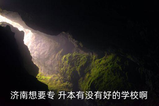 山大專升本,山東學(xué)院升本成績(jī)100-120分?？茣?huì)考成績(jī)