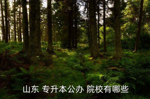 山東可以專升本的院校,山東省2022年專升本報(bào)名名單出爐