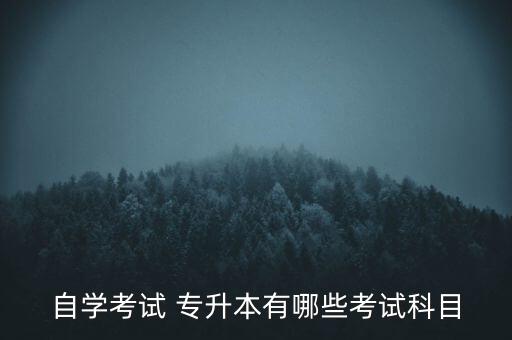 江蘇專升本 工商管理,江蘇省高等學府新?？瓢嬗心男I(yè)?