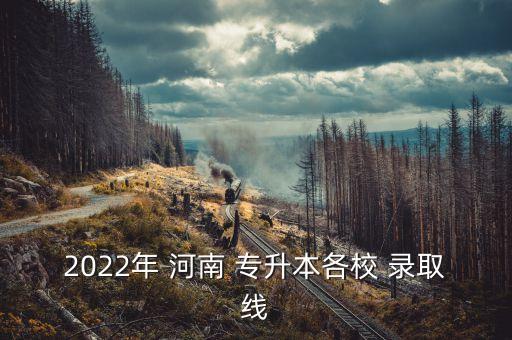 2022年 河南 專升本各校 錄取線