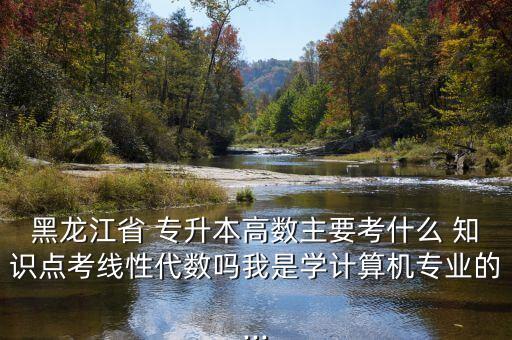 黑龍江省 專升本高數(shù)主要考什么 知識(shí)點(diǎn)考線性代數(shù)嗎我是學(xué)計(jì)算機(jī)專業(yè)的...