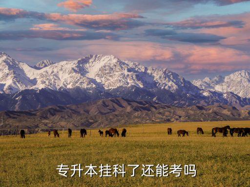 掛幾科不能專升本,專升本報(bào)名前通過考試不及格的同學(xué)需再申請