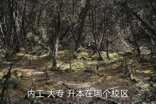 內(nèi)工 大專(zhuān) 升本在哪個(gè)校區(qū)