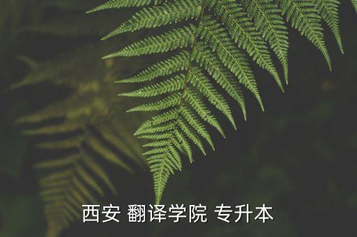西安 翻譯學院 專升本