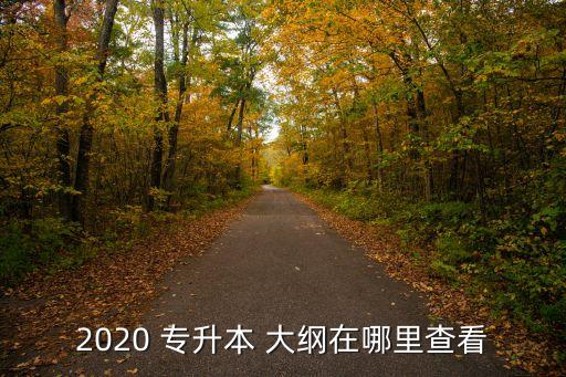 專(zhuān)升本語(yǔ)文大綱,專(zhuān)升本大綱在哪里查看?