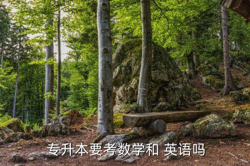 專升本要考數(shù)學和 英語嗎
