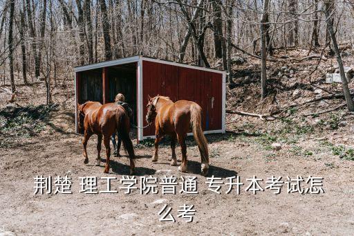  荊楚 理工學(xué)院普通 專(zhuān)升本考試怎么考