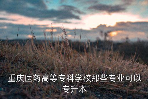  重慶醫(yī)藥高等?？茖W校那些專業(yè)可以 專升本