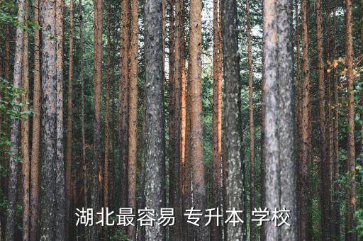  湖北最容易 專(zhuān)升本 學(xué)校